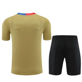 Kit Treino Barcelona 23/24 - Dourada