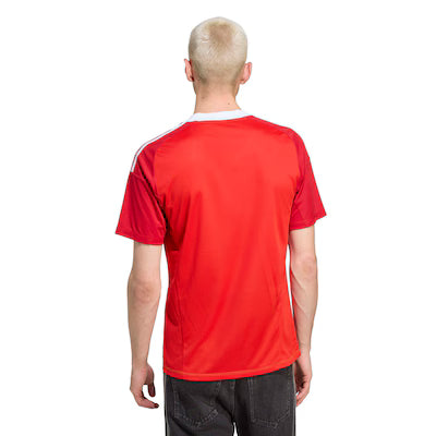 Camisa Flamengo Goleiro IIl 2025/26 - Versão Torcedor Masculina