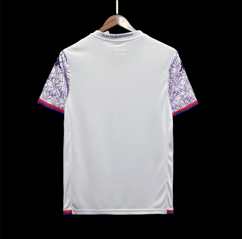 Fiorentina 23-24 Away