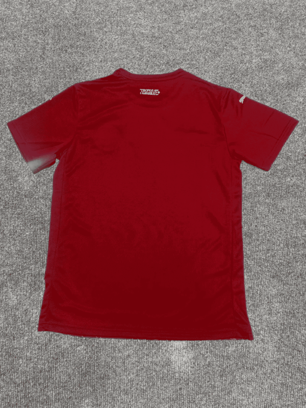 Camisa EC Bahia III - 25/26