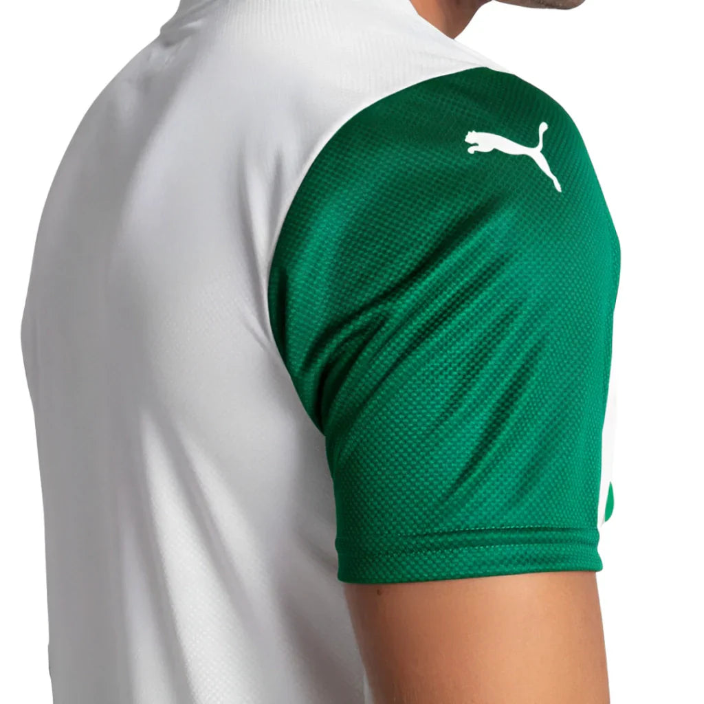 Camisa Palmeiras II 25/26 - Jogador Masculina - Branca e Verde