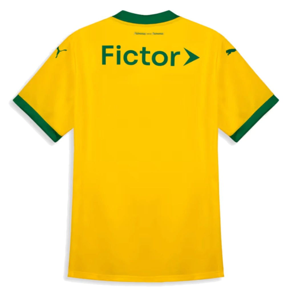 Camisa Palmeiras llI - 25/26